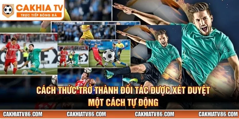 Cách thức trở thành đối tác được xét duyệt một cách tự động