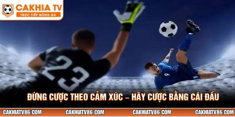 Đừng cược theo cảm xúc hãy cược bằng cái đầu